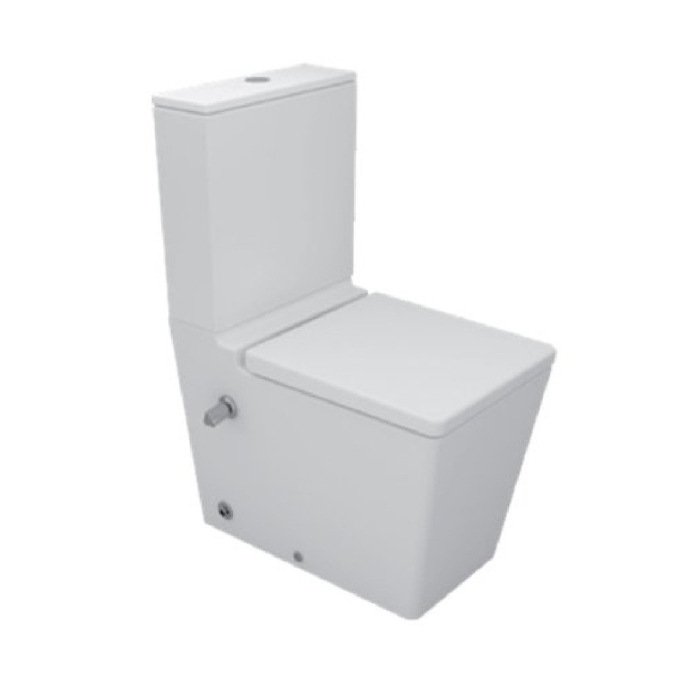 Sanipure Kepler Wall-mounted P Toilet seat White 2560490075 - 2560490078