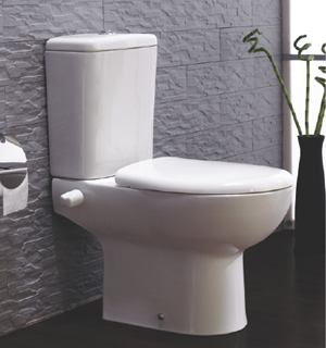 Ideal Standard Plan Combination Toilet with Seat and Tank White